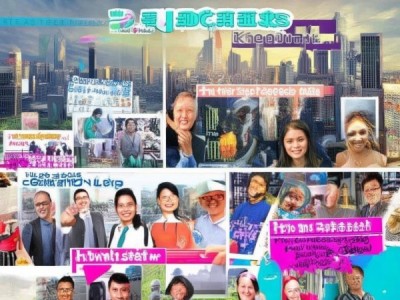 案例成功案例，从成功案例看策略与实践